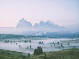 I-VISTA